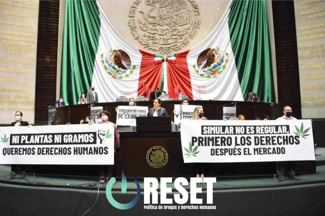 La regulación del cannabis en México y la ruptura con prohibicionismo ...